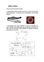 Fish worksheet