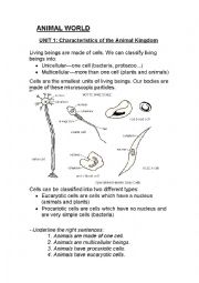 English Worksheet: Cells 