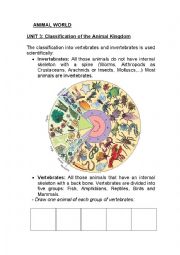 English Worksheet: Animal classification