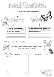 English Worksheet: Animal Classification