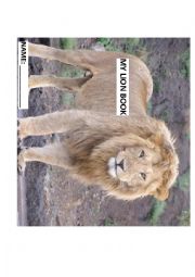 English Worksheet: Lion Booklet