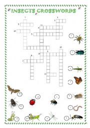 English Worksheet: INSECTS CROSSWORDS