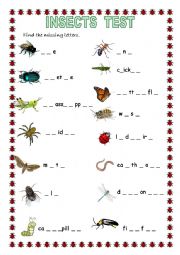 English Worksheet: INSECTS TEST