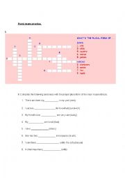 English Worksheet: plural nouns practise
