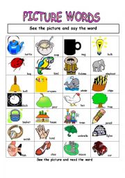 English Worksheet: Picture words