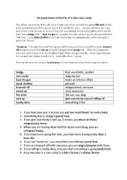 English Worksheet: The Life of a Cow Cocky  (Kiwi slang for dairy farmer)