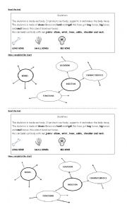 English Worksheet: Skeletons