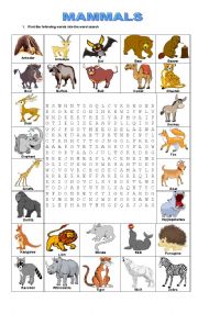 English Worksheet: MAMMALS