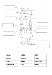 English Worksheet: Label Body Parts