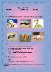 English Worksheet: Lesson 5: Pets