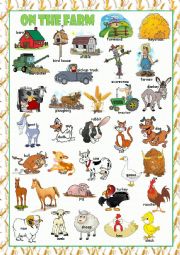 English Worksheet: On the Farm Picture Dictionary