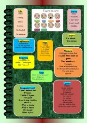 Useful expressions used  in class