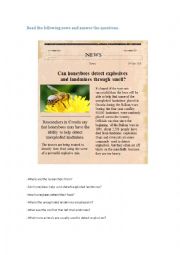 English Worksheet: News: Honeybees