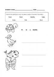 English Worksheet: Birds name