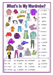 English Worksheet: Whats in my wardrobe?