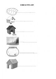 English Worksheet: Where do pets live?