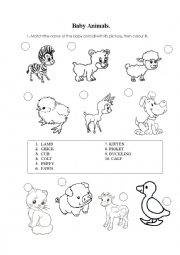 English Worksheet: Baby Animals