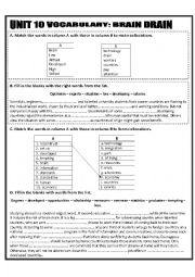 English Worksheet: Brain drain vocabulary