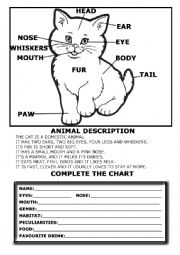 English Worksheet: animal description