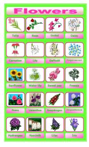 English Worksheet: Flower pictionary
