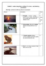 English Worksheet: natural disasters