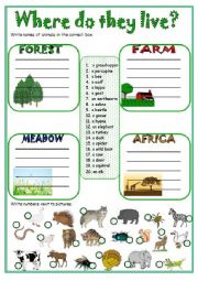 English Worksheet: Where do they live?