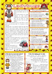 English Worksheet: Ladybugs (+key)