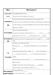 English Worksheet: The Puppy to Guide Dog Journey