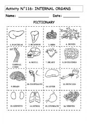 English Worksheet: INTERNAL ORGANS PICTIONARY