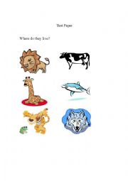 English Worksheet: Test Paper