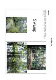 English Worksheet: Wetlands - Swamp part 3 of 4