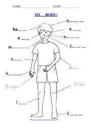 English Worksheet: My Body