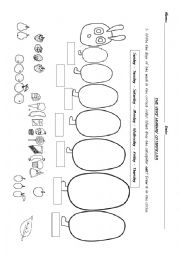 English Worksheet: Caterpillar worksheet