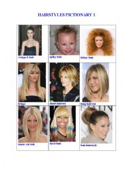 English Worksheet: HAIRSTYLES PICTIONARY 1