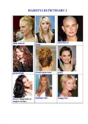 English Worksheet: HAIRSTYLES PICTIONARY 2