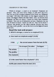 English Worksheet: english test