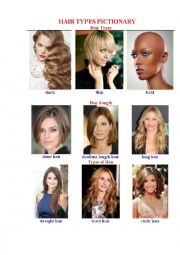 English Worksheet: Hair Types Pictionary