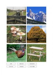 English Worksheet: The Countryside - Page 06 of 09