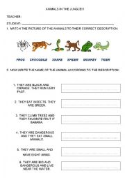 English Worksheet: Jungle Animals