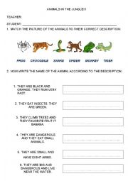 English Worksheet: Jungle Animals