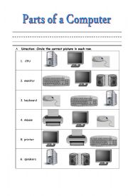 English Worksheet: Computer Parts