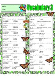 English Worksheet: Vocabulary 3 For Intermediate