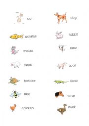 English Worksheet: animals