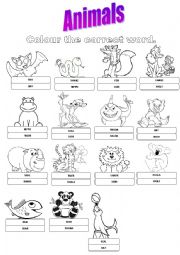 English Worksheet: ANIMALS!!!