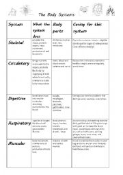 English Worksheet: The Body Systems