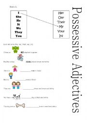 English Worksheet: possessive adjectives