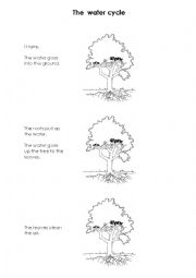 English Worksheet: The water cycle