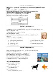 English Worksheet: reading comprehension