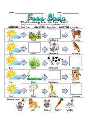 Food Chain Worksheet