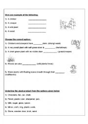 English Worksheet: Plants and trees